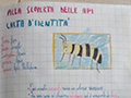 2020-05-28-gocce-di-miele-alice-calanni-II-B-Vina-01