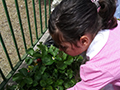 2021-05-15-plesso-vina-produzione-fragole-10