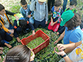 2022-10-28-masseria-biologica-paterniti-19