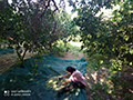2022-10-28-masseria-biologica-paterniti-21