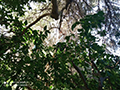 2022-10-28-masseria-biologica-paterniti-22