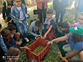 2022-10-28-masseria-biologica-paterniti-24