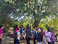 2022-10-28-masseria-biologica-paterniti-30