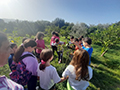 2022-10-28-masseria-biologica-paterniti-42