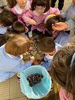 2022-12-13-raccolta-olive-plesso-vina-10