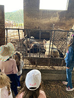 2023-05-14-viaggio-istruzione-infanzia-santalucia-03