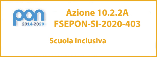 10.8.6A-FESRPON-SI-2020-450